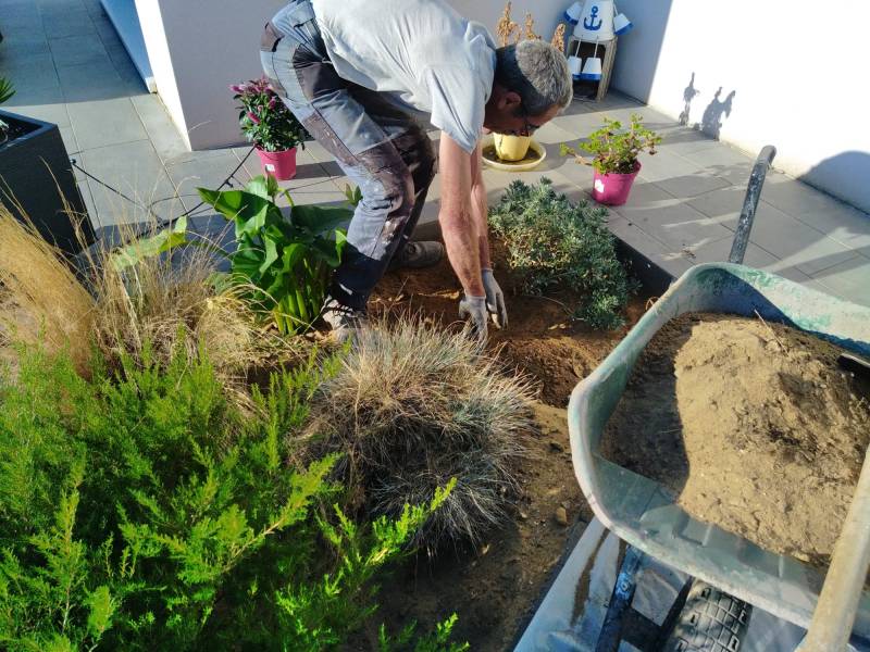 Pose du parterre de fleurs Longeville