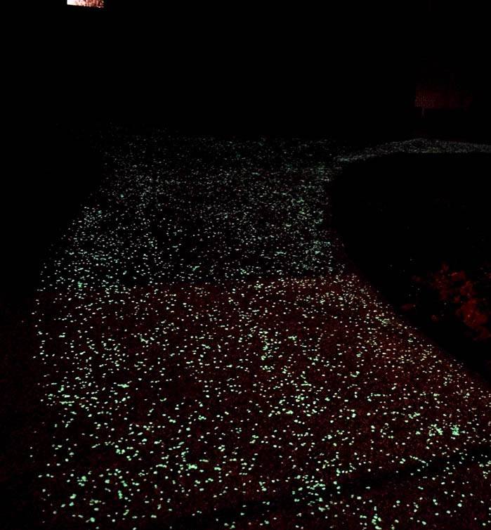 Chemin en graviers photoluminescents en vendée