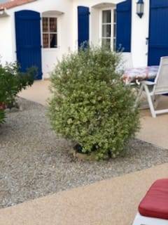 Rénovation d'une terrasse en moquette de pierre LA TRANCHE SUR MER (85)