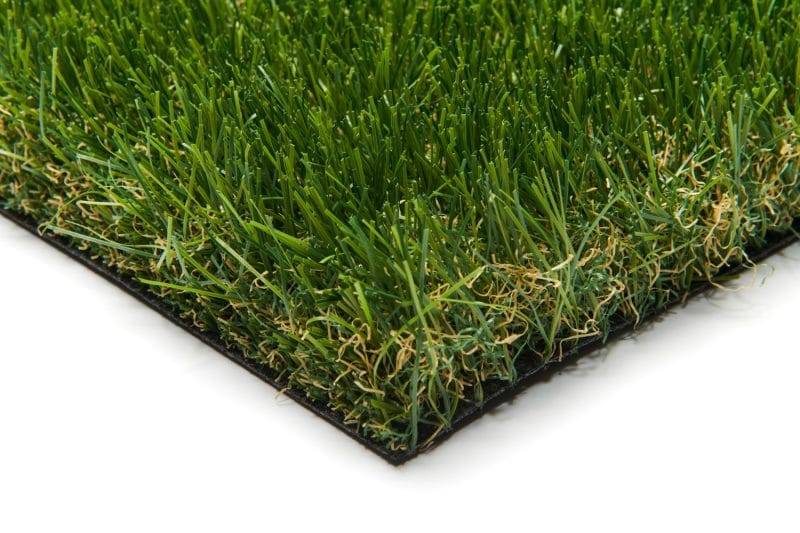 Brin de pelouse en Vendée